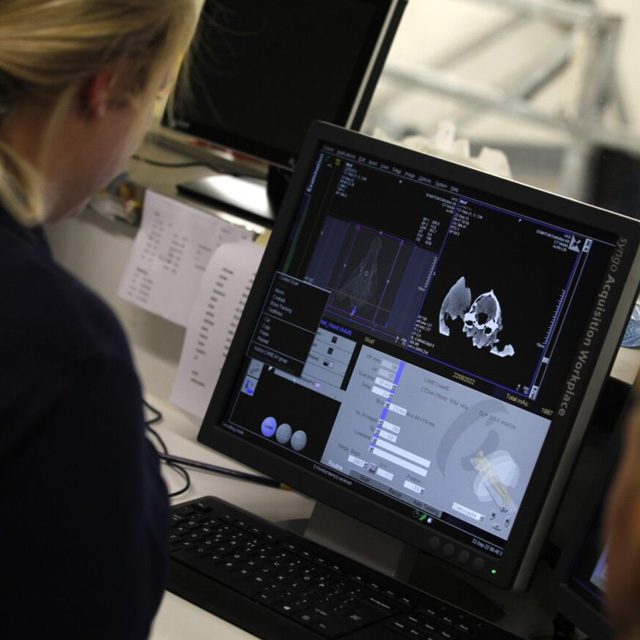 Scan van dode wolf in Utrecht