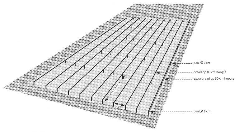 weren van ganzen en zwanen door spandraden