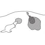 Verjagen met behulp van buidels en fretten