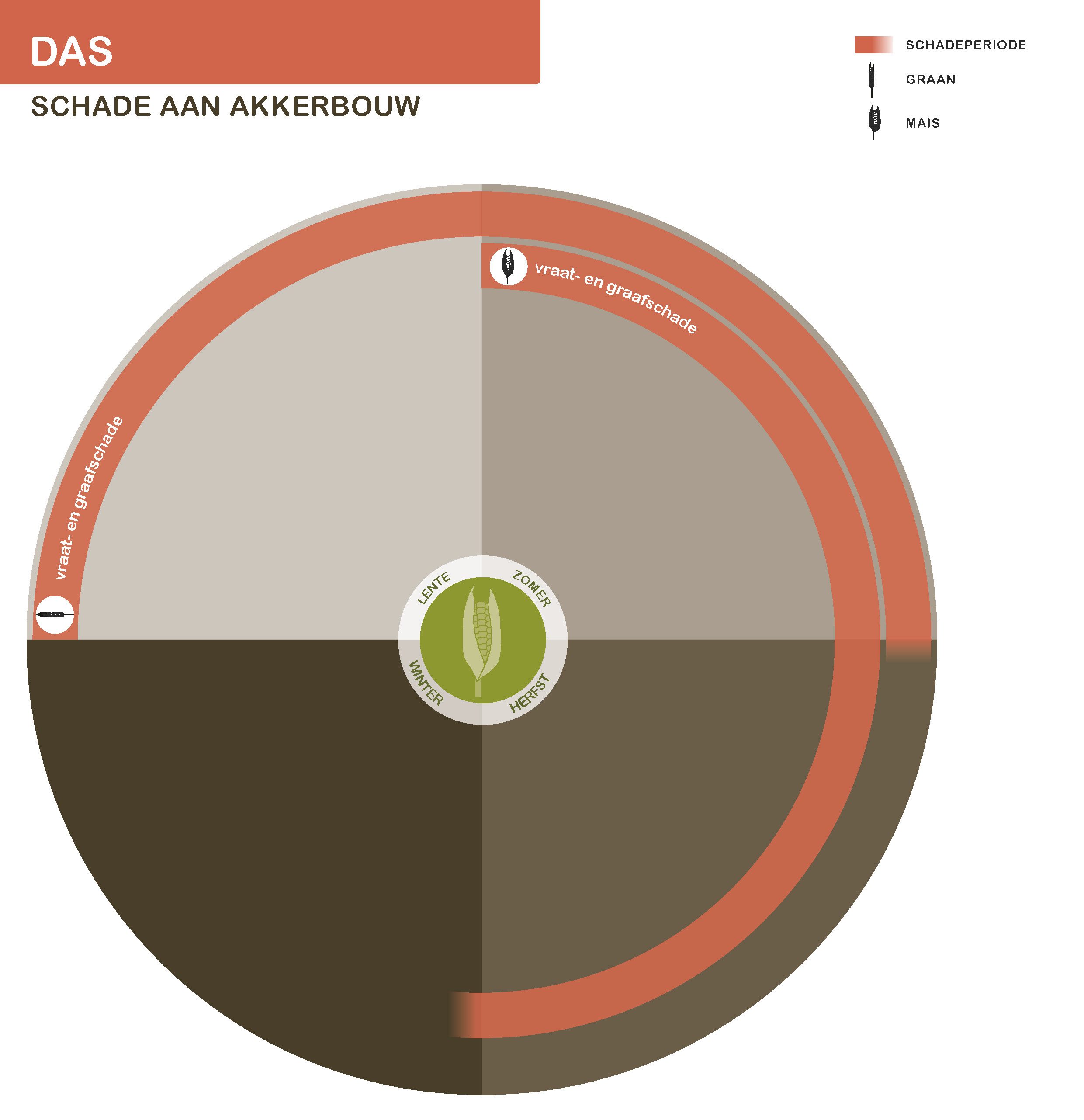 Infographic das schade aan akkerbouw
