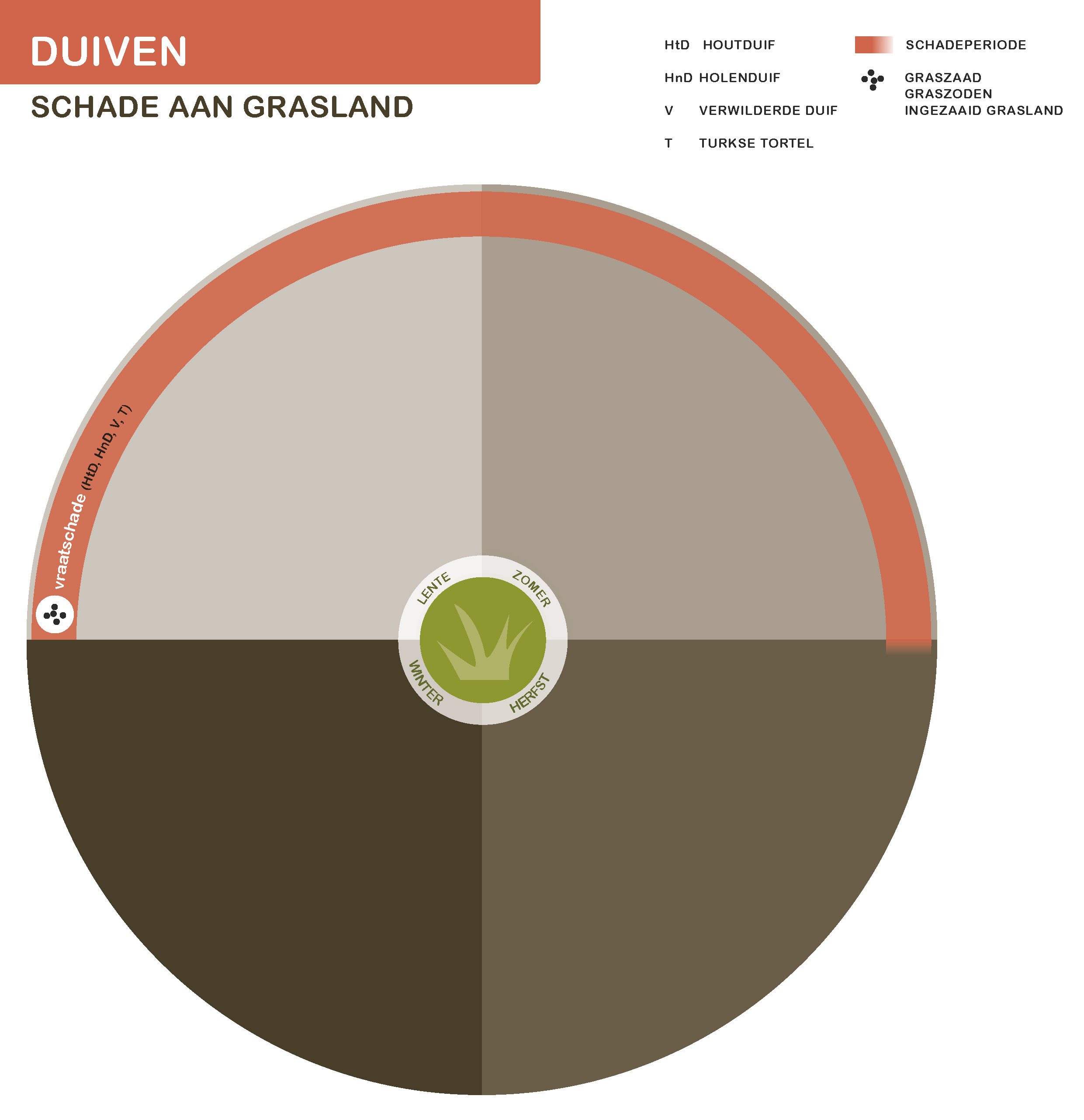 Infographic duif schade aan grasland