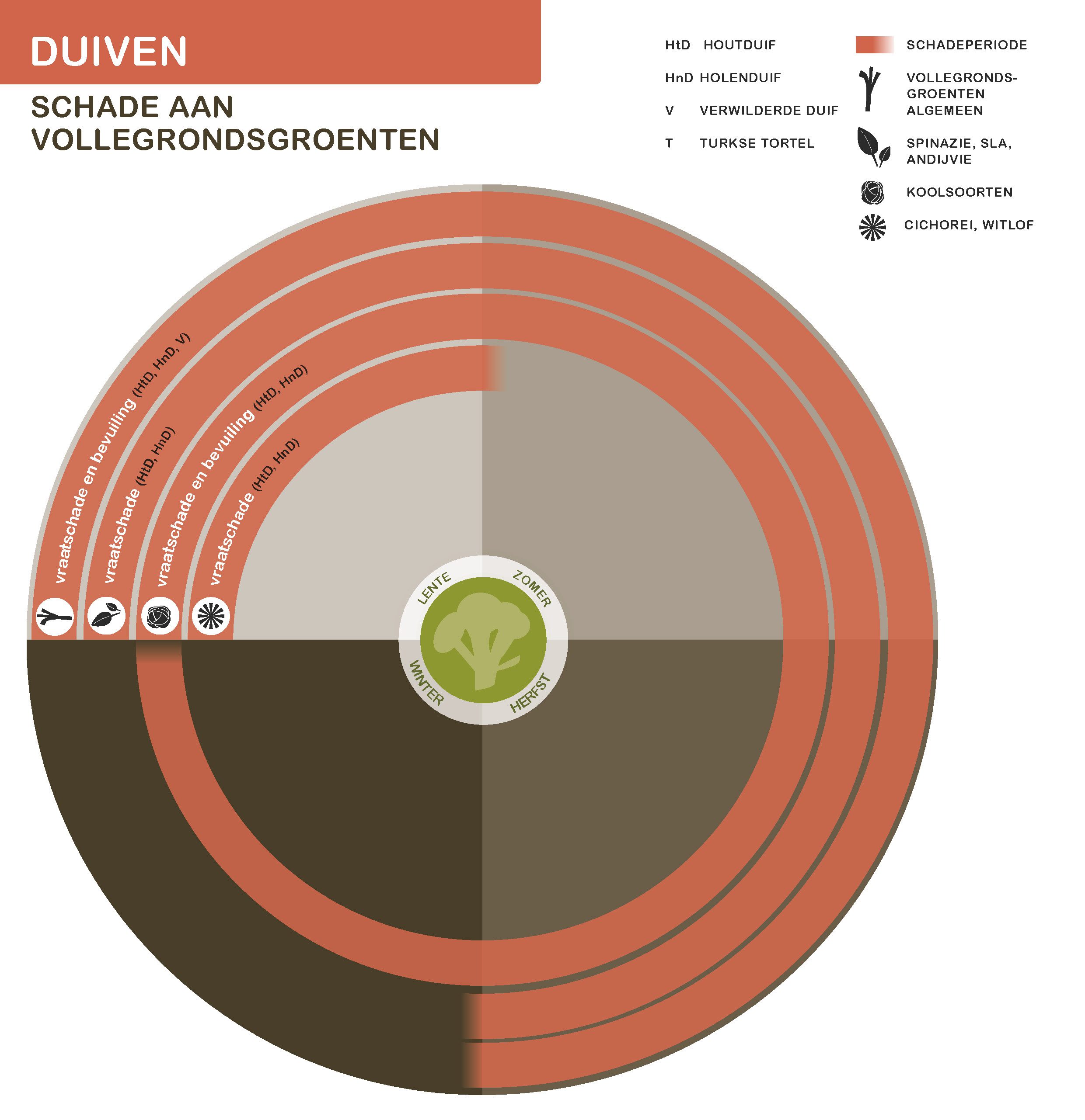 Infographic Duif schade aan volle grond
