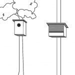 Schade beperken door plaatsing nestgelegenheid