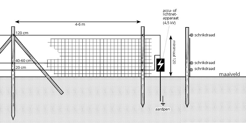 Preventie door wolfwerend gaasraster