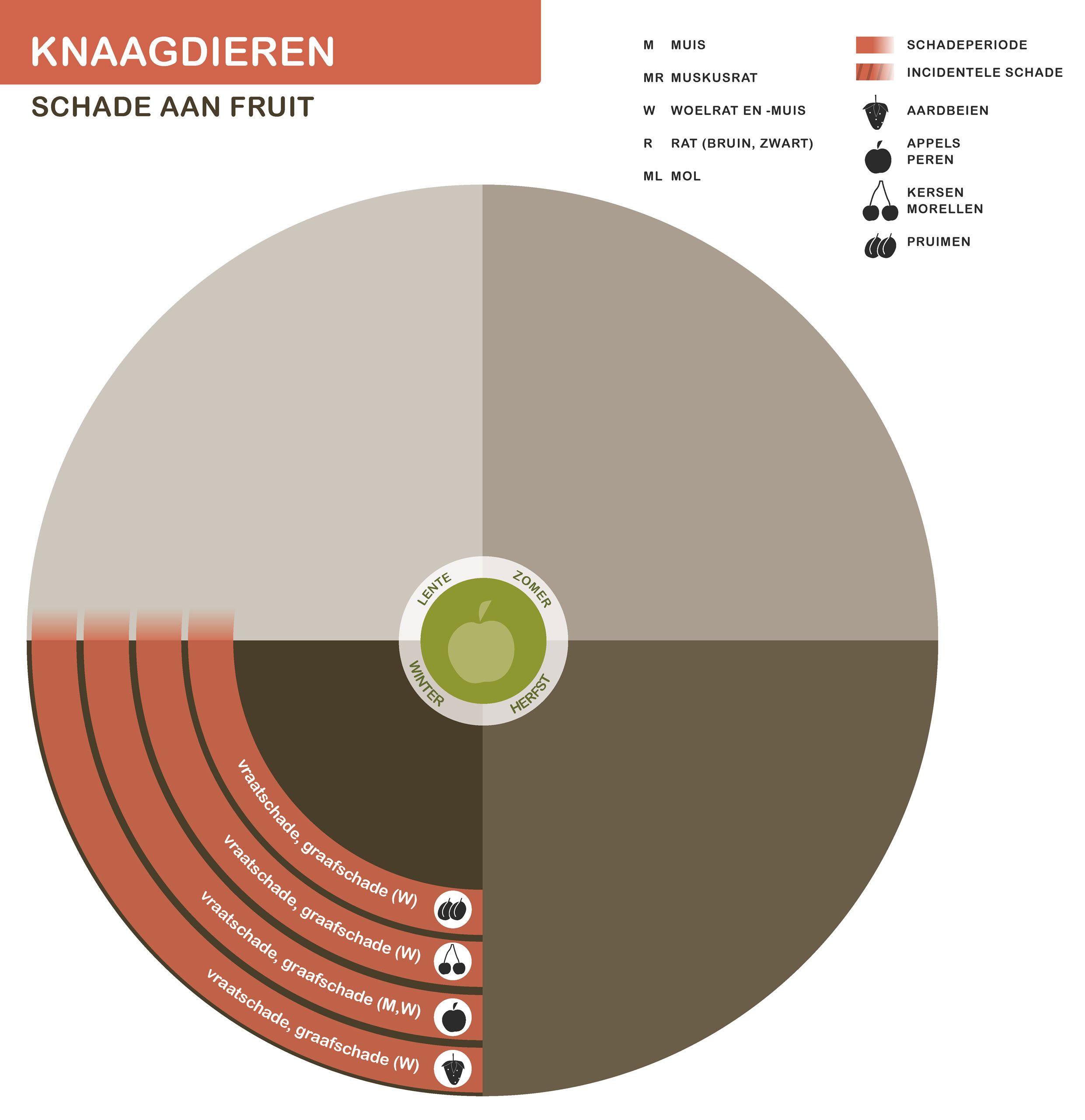Infographic knaagdieren schade aan fruit