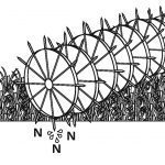 Verjagen door bemesting