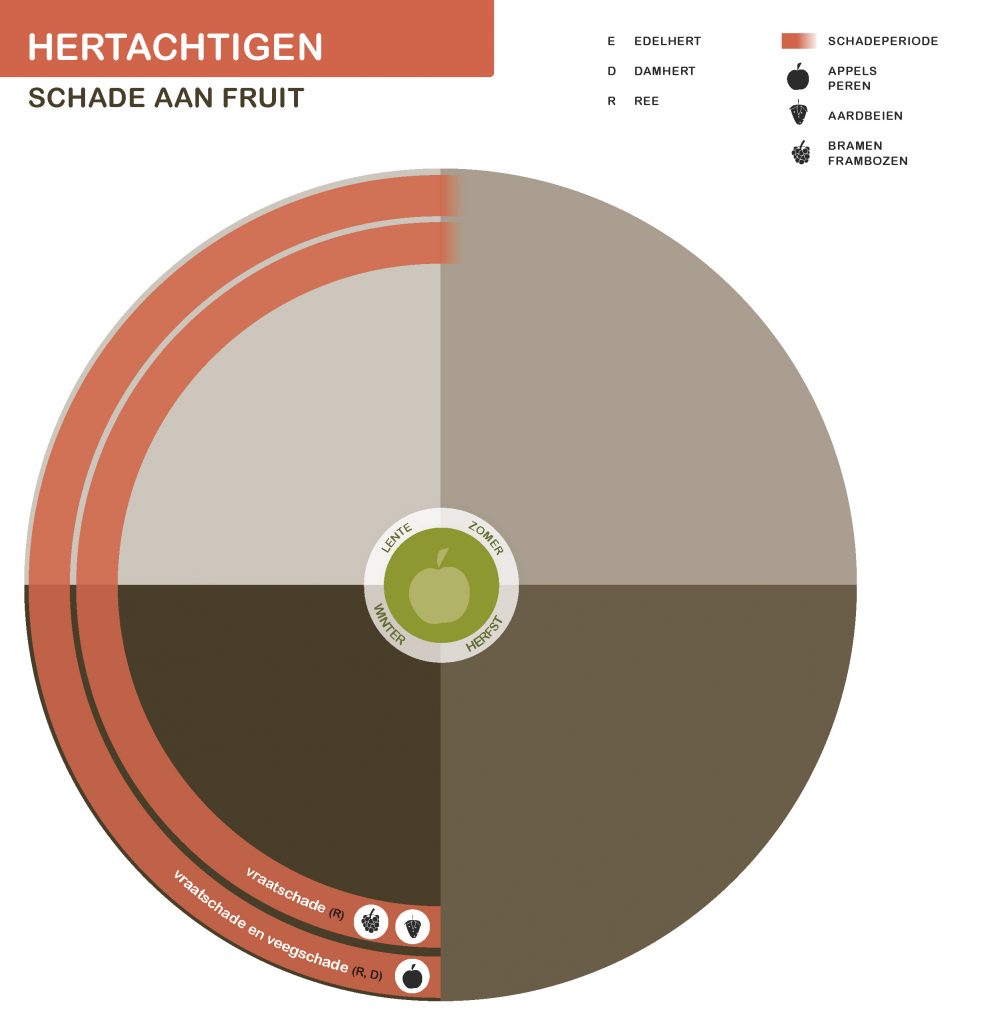 Infographic hertachtigen schade aan fruit