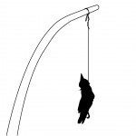 Weren door ophangen dode vogels