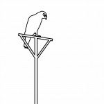 Aantrekken van natuurlijke vijanden